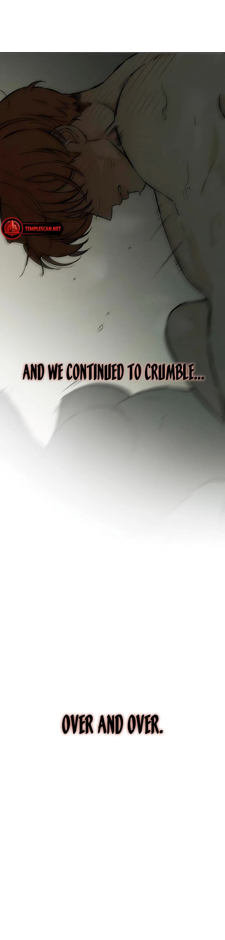 Tears on a Withered Flower Chapter 17 page 13 - Chapter 17