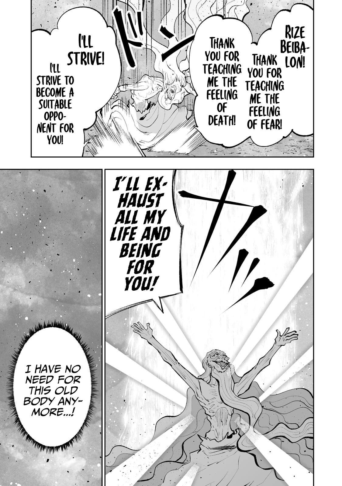 Teihen Ryoushu No Kanchigai Eiyuutan Chapter 41 page 14 - Chapter 41: The Final Battle Part 2