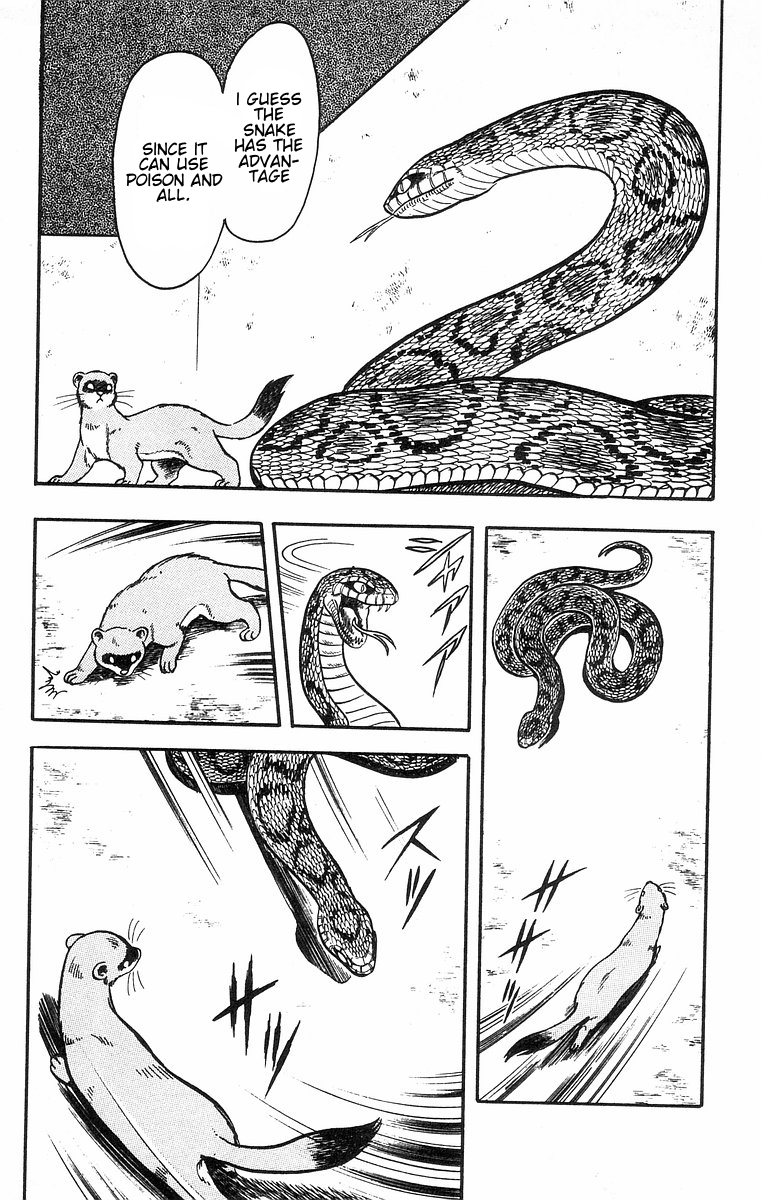 Tekken Chinmi Chapter 34 page 20 - Chapter 34: There is no room for attacting twice in practical Kung-fu
