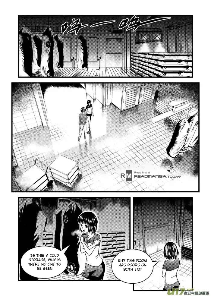 Telencephalon Chapter 12 page 13 - Chapter 12