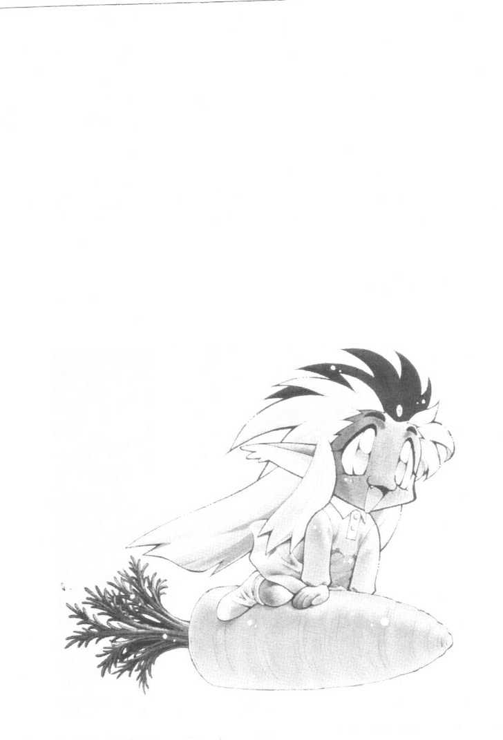 Tenchi Muyo! Chapter 10.7 page 29 - Vol.10 Chapter 7