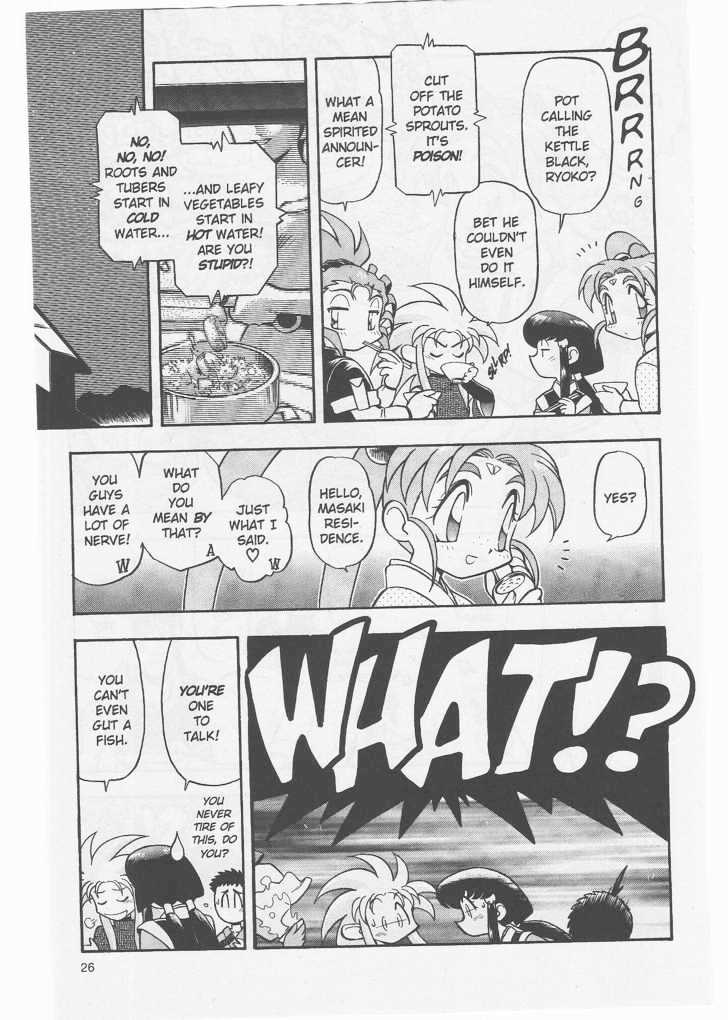 Tenchi Muyo! Chapter 8.2-1 page 28 - Vol.08 Chapter 2.1
