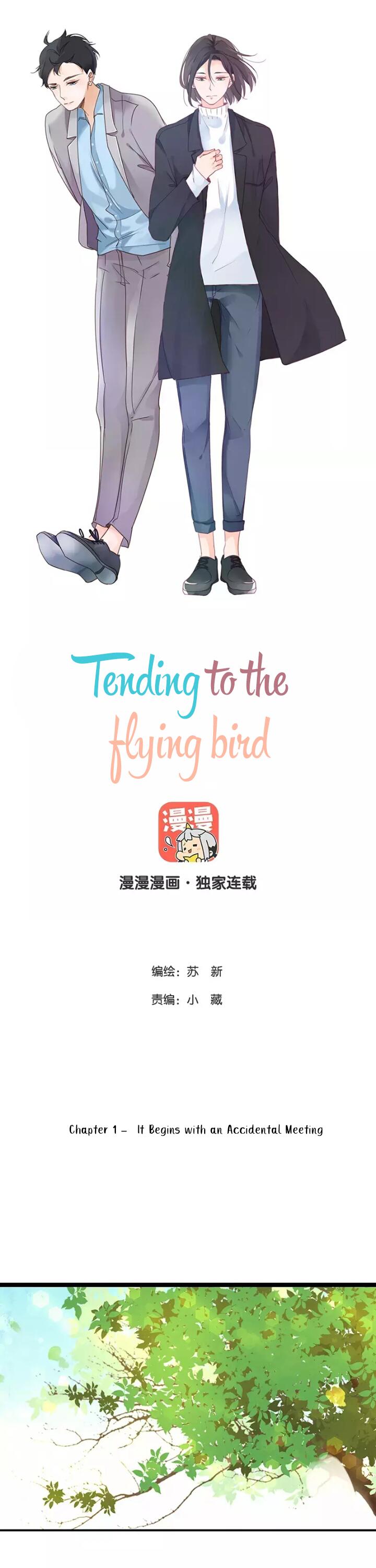Tending to the flying bird Chapter 1 page 1 - Chapter 1