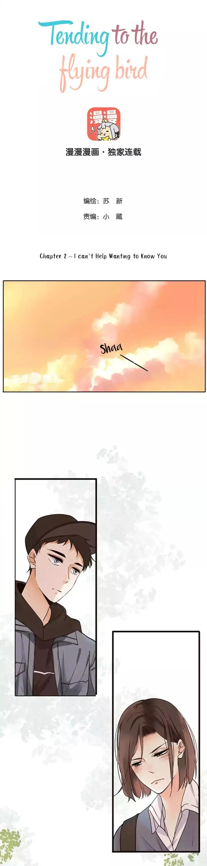 Tending to the flying bird Chapter 2 page 1 - Chapter 2