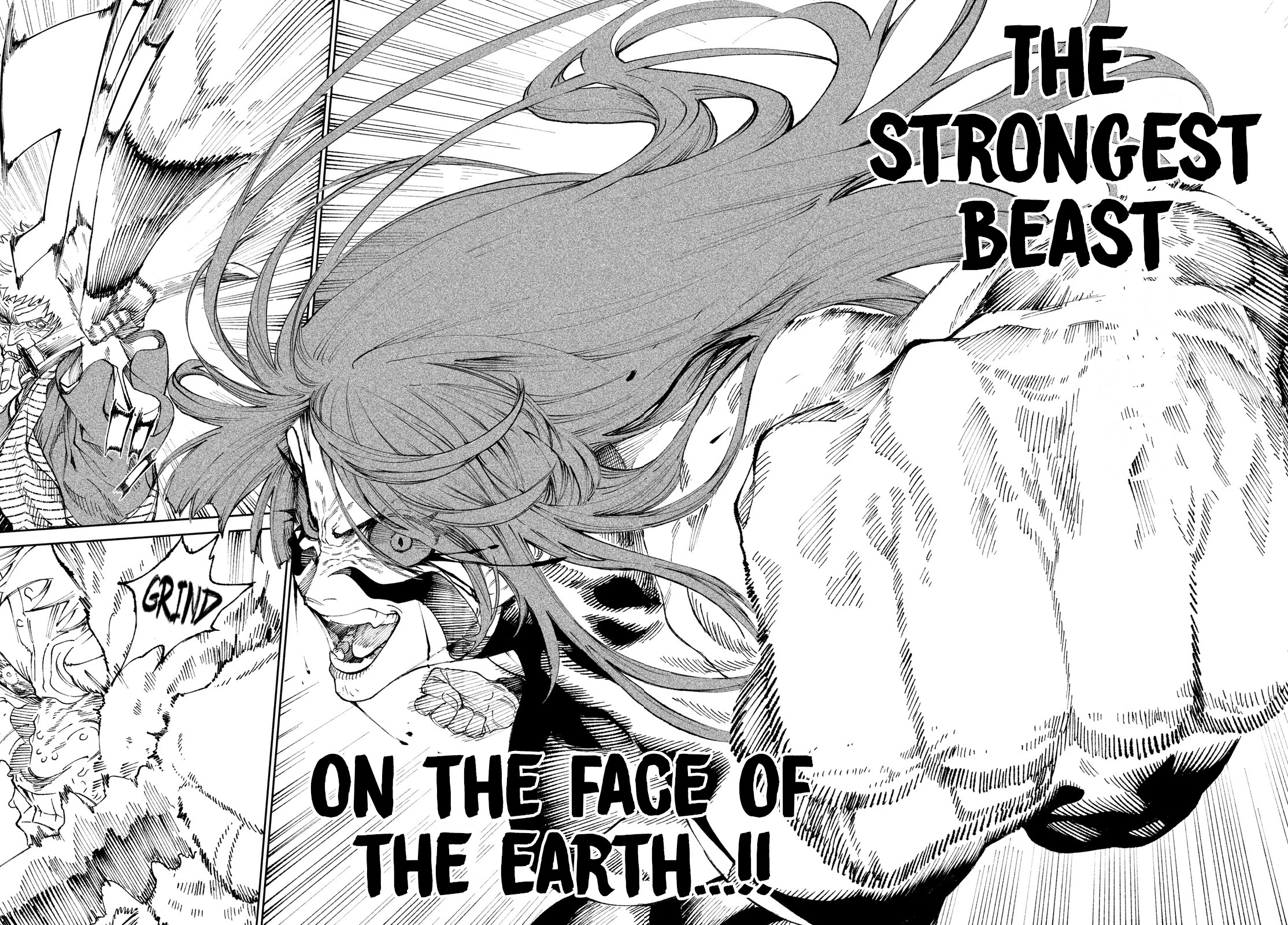 Tenkaichi - Nihon Saikyou Bugeisha Ketteisen Chapter 11 page 12 - Chapter 11: Beasts and Chains