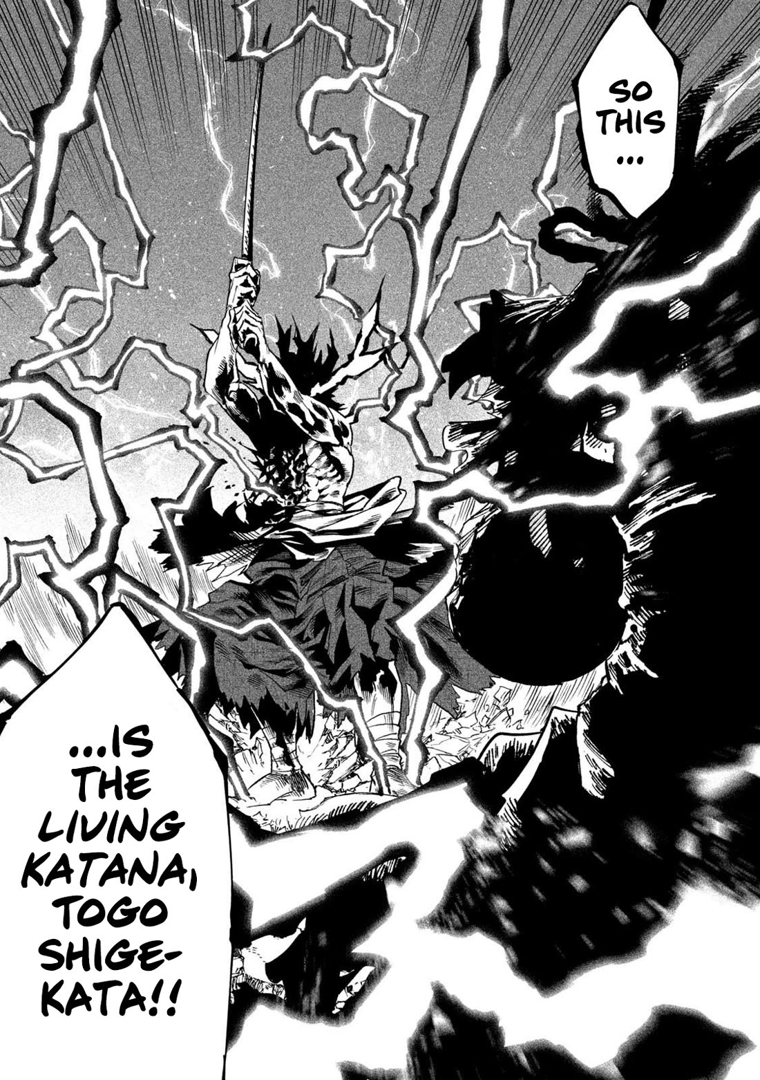 Tenkaichi - Nihon Saikyou Bugeisha Ketteisen Chapter 37 page 13 - Chapter 37: Katana and Cannon