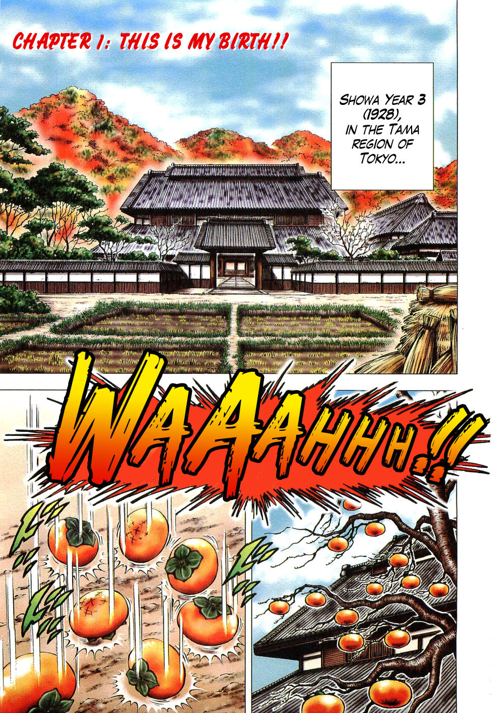 Tenkamusou Edajima Hirayatsuden Chapter 1 page 5 - Chapter 1: This is My Birth!!