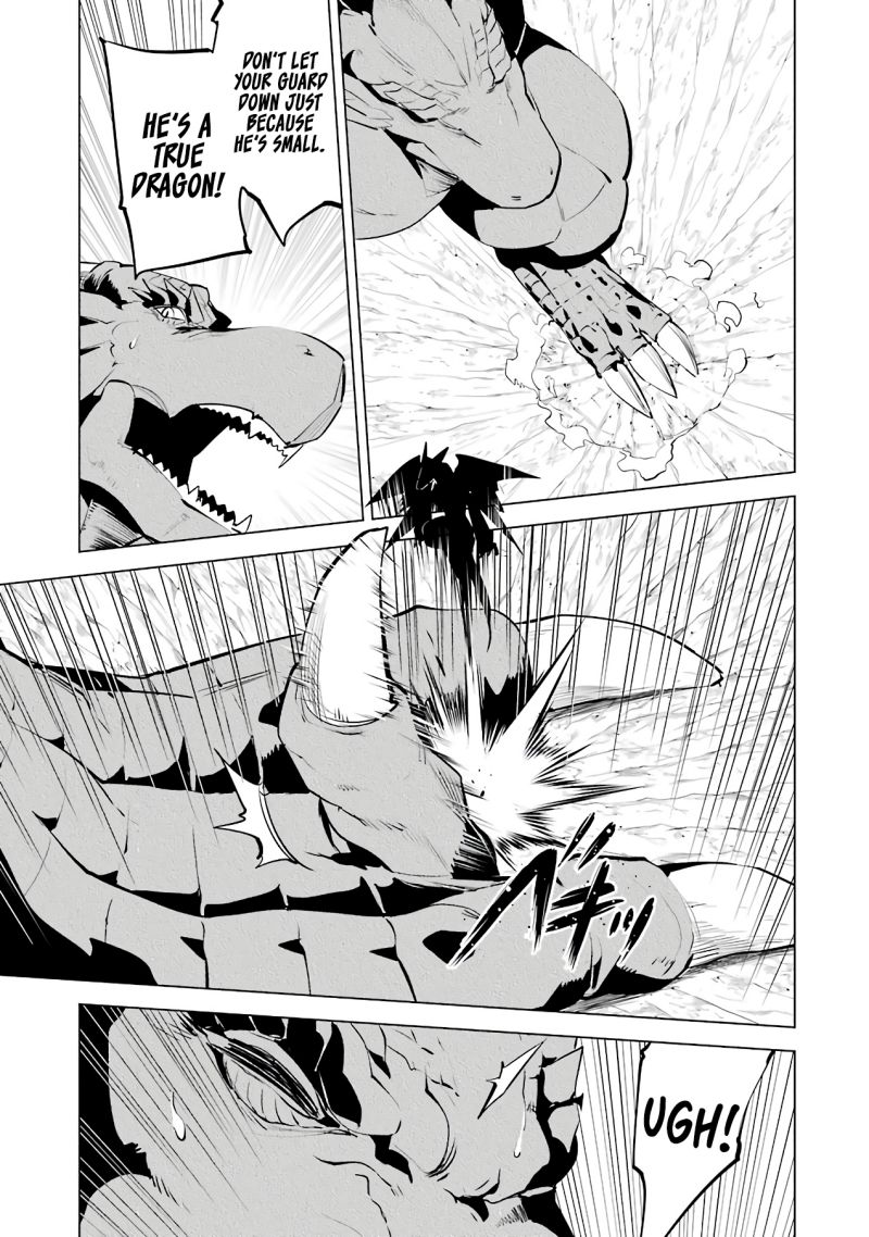 Tensei Kenja no Isekai Raifu ~Daini no Shokugyo wo Ete, Sekai Saikyou ni Narimashita~ Chapter 26 page 22 - Chapter 26