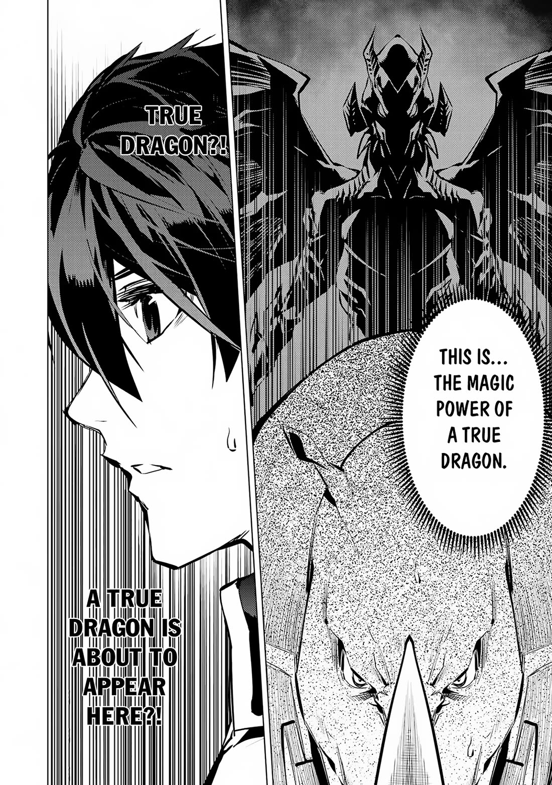 Tensei Kenja no Isekai Raifu ~Daini no Shokugyo wo Ete, Sekai Saikyou ni Narimashita~ Chapter 66 page 9 - Chapter 66