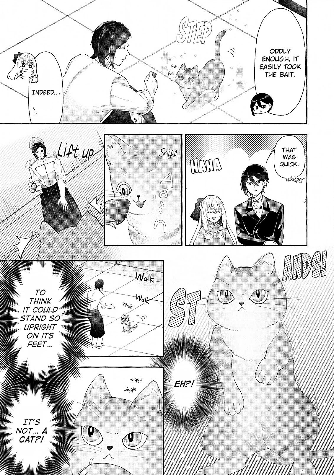 Tensei-saki de Suterareta Node, Mofumofu-tachi to Oryouri Shimasu Chapter 6 page 17 - Chapter 6