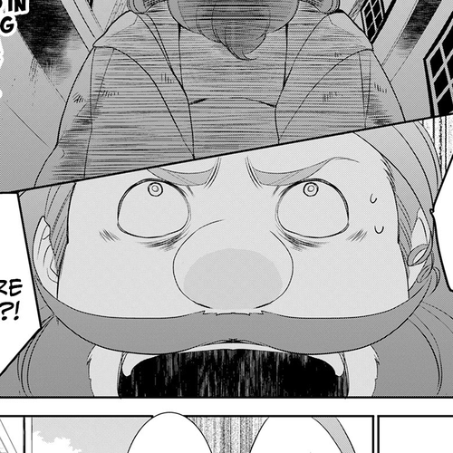 Tenseishichatta yo (Iya, Gomen) Chapter 25.5: Chalcedony’s Unfortunate Adventure cover