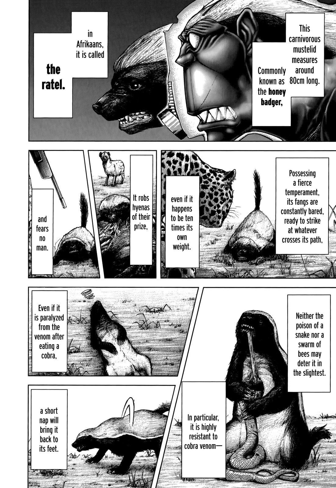 Terra Formars Chapter 104 page 13 - Chapter 104: THE MOST FEARLESS ANIMAL Undefeated Oddity