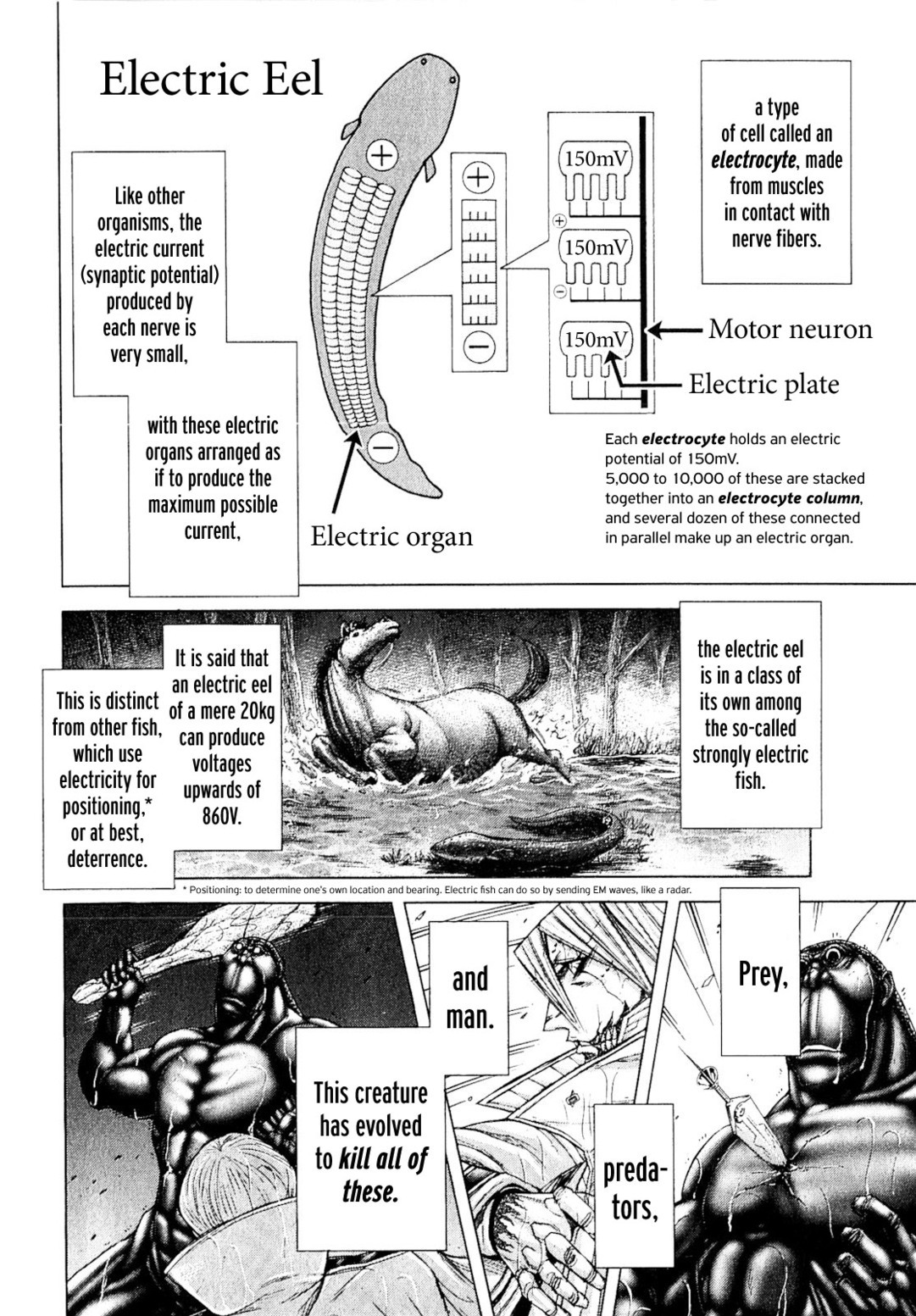 Terra Formars Chapter 30 page 8 - Chapter 30: DER ZITTERAAL Electric Organism