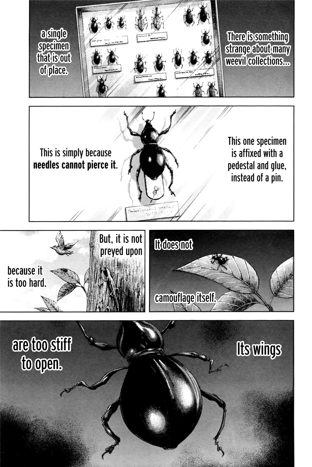 Terra Formars Chapter 39 page 2 - Chapter 39: DIE HARD Invincible Insect