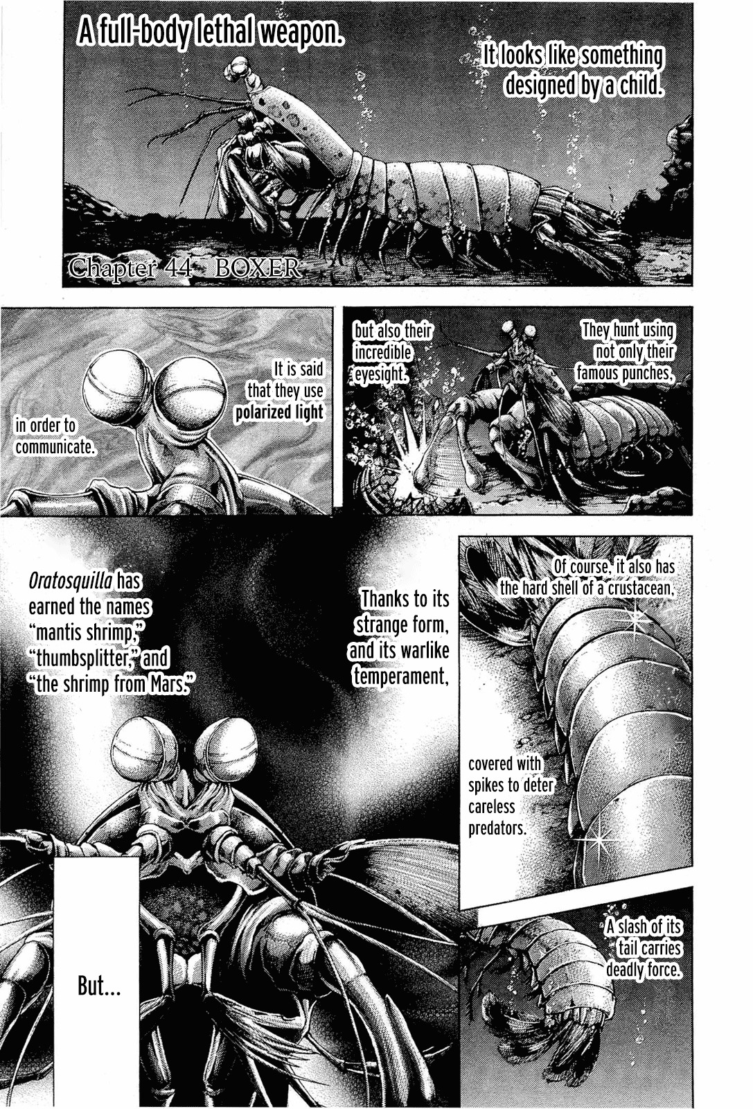 Terra Formars Chapter 44 page 6 - Chapter 44: BOXER