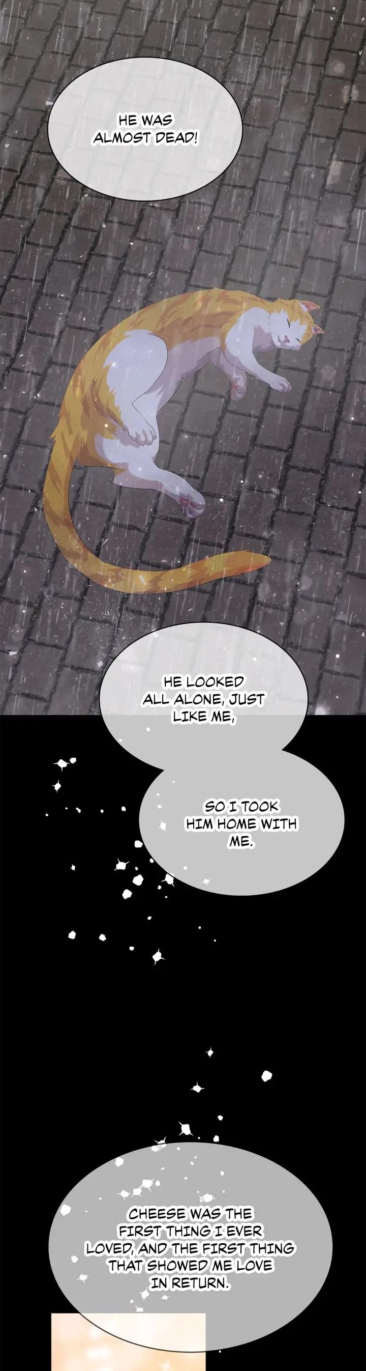 Terrarium Adventure Chapter 71 page 10 - Chapter 71