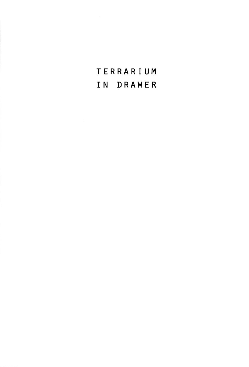 Terrarium in Drawer Chapter 1 page 6 - Chapter 1 : Terrarium in Drawer