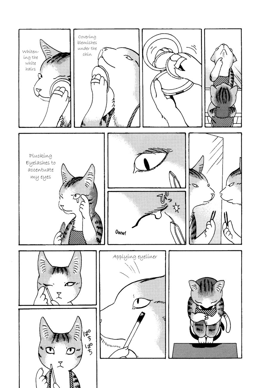 Terrarium in Drawer Chapter 20 page 3 - Chapter 20