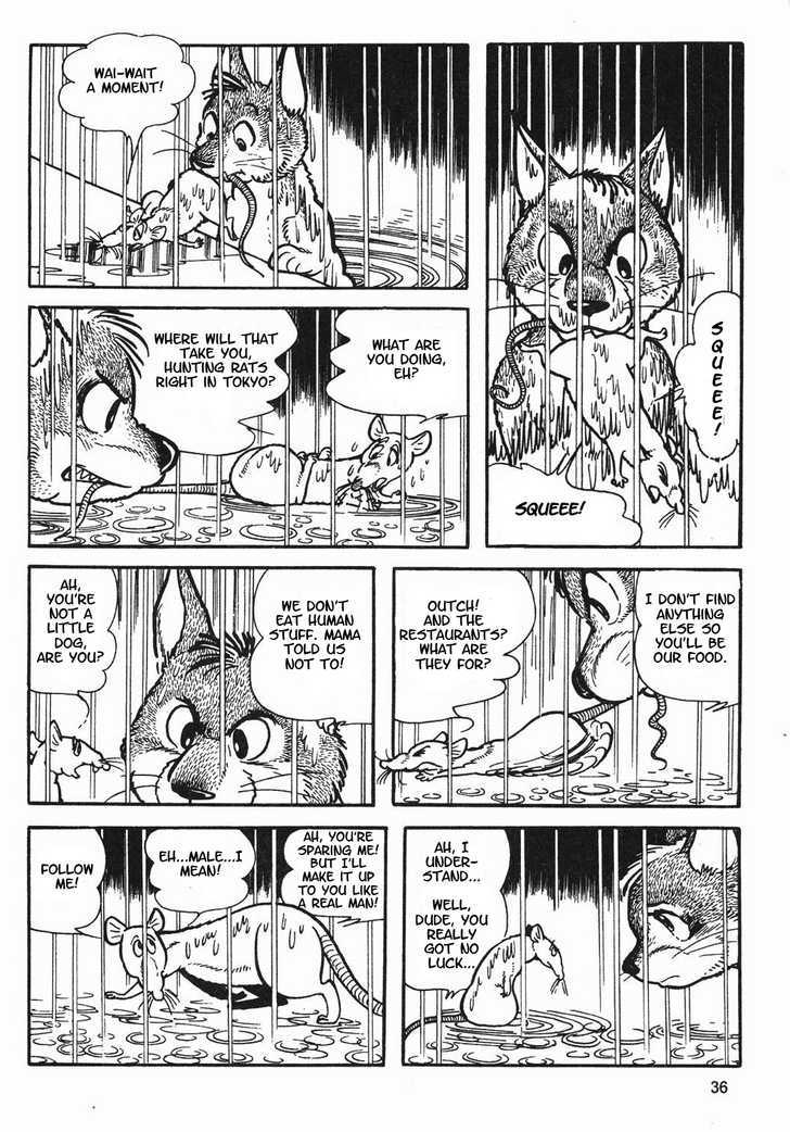 Tezuka Osamu the Best Chapter 3 page 13 - Vol.03 Chapter 1.2 : Roros Journey Part 2
