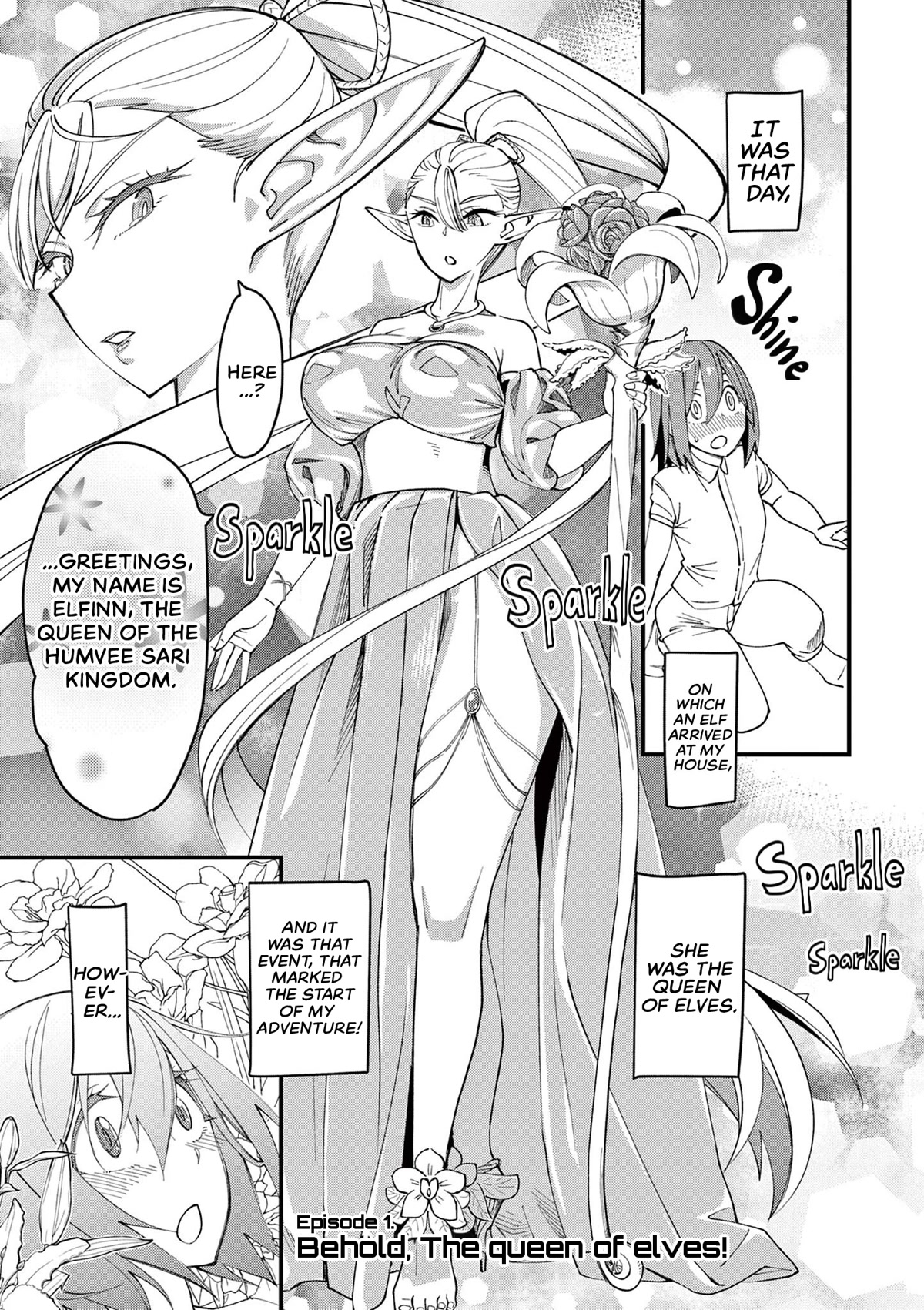 That Elf is My Queen! Chapter 1 page 5 - Chapter 1: Episode 1. Behold, The Queen of Elves!