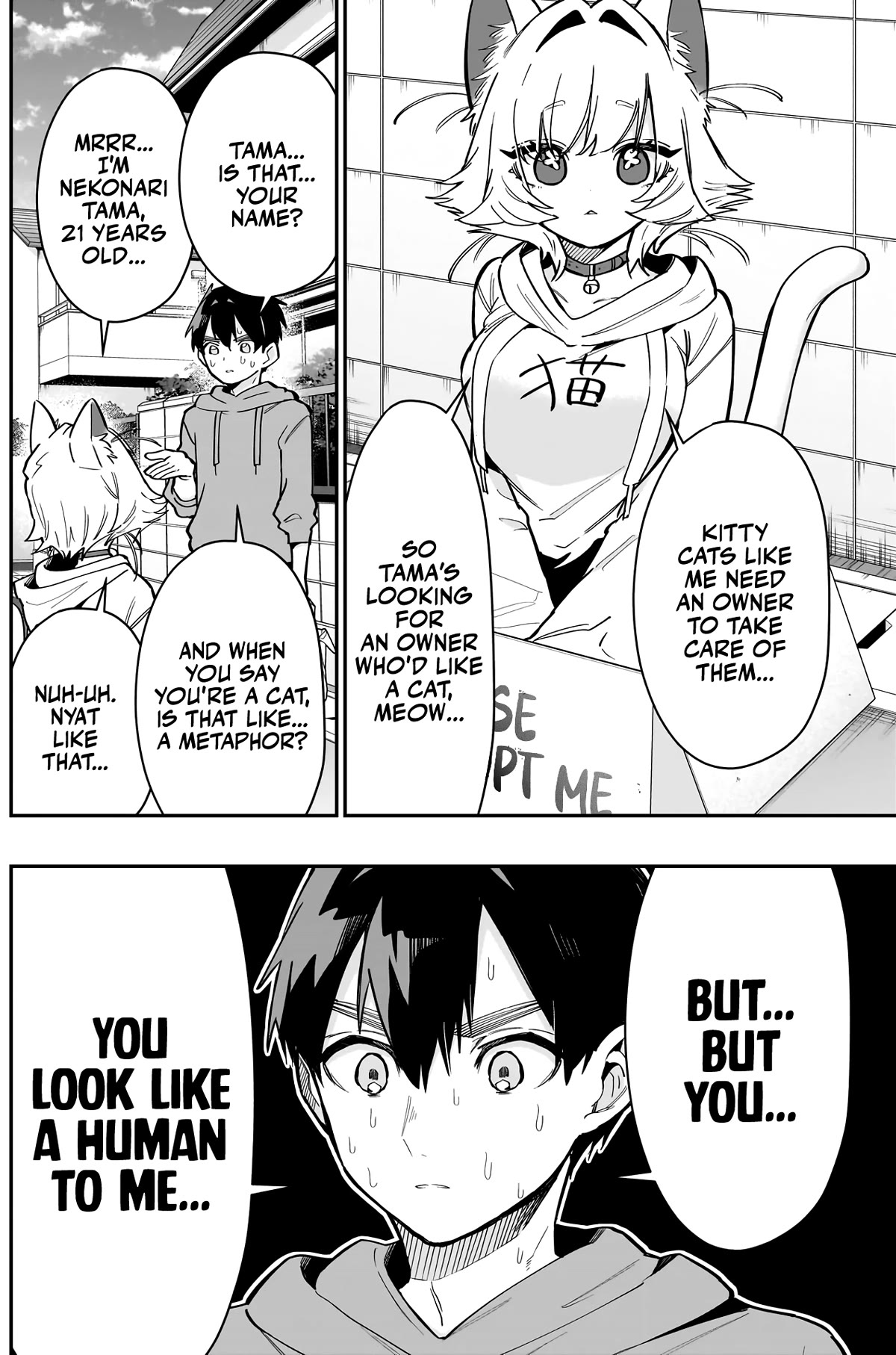The 100 Girlfriends Who Really, Really, Really, Really, Really Love You Chapter 141 page 5 - Chapter 141: The Cat That Wants to be Adopted