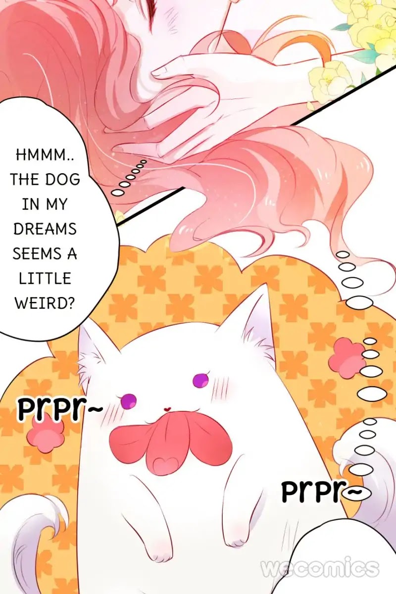 The Adorable Vampire Chapter 1 page 7 - Chapter 1