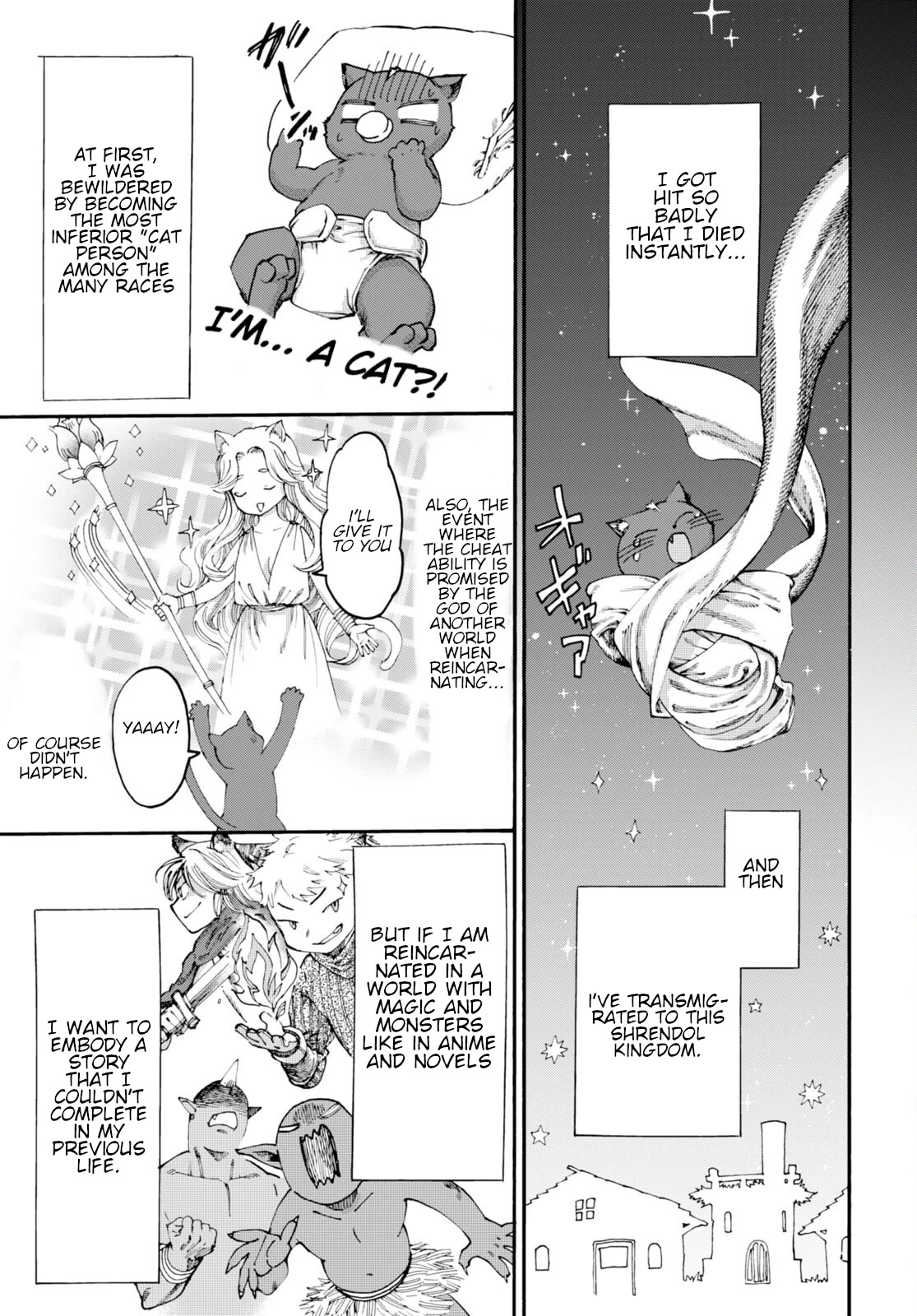 The Adventures of Black Cat "Nyango": Since I got a rare attribute, I aim to be a carefree adventurer Chapter 1 page 10 - Chapter 1