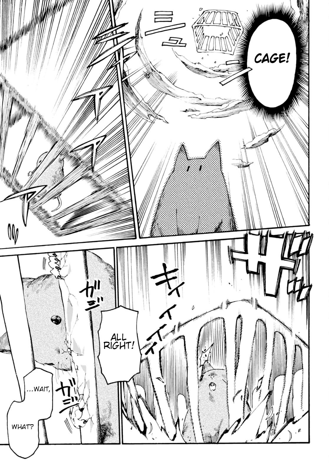 The Adventures of Black Cat "Nyango": Since I got a rare attribute, I aim to be a carefree adventurer Chapter 1 page 24 - Chapter 1