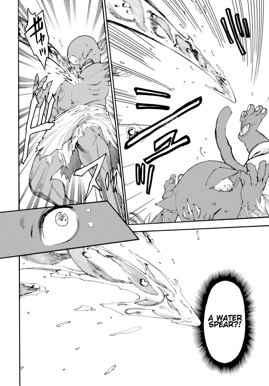 The Adventures of Black Cat "Nyango": Since I got a rare attribute, I aim to be a carefree adventurer Chapter 2 page 3 - Chapter 2