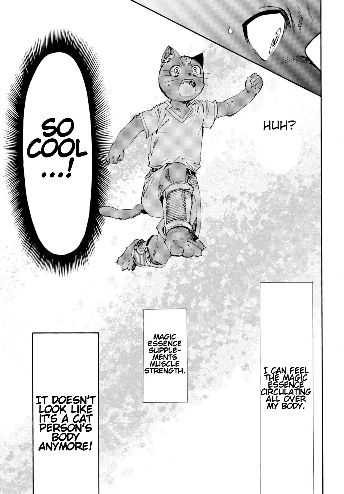 The Adventures of Black Cat "Nyango": Since I got a rare attribute, I aim to be a carefree adventurer Chapter 3 page 16 - Chapter 3