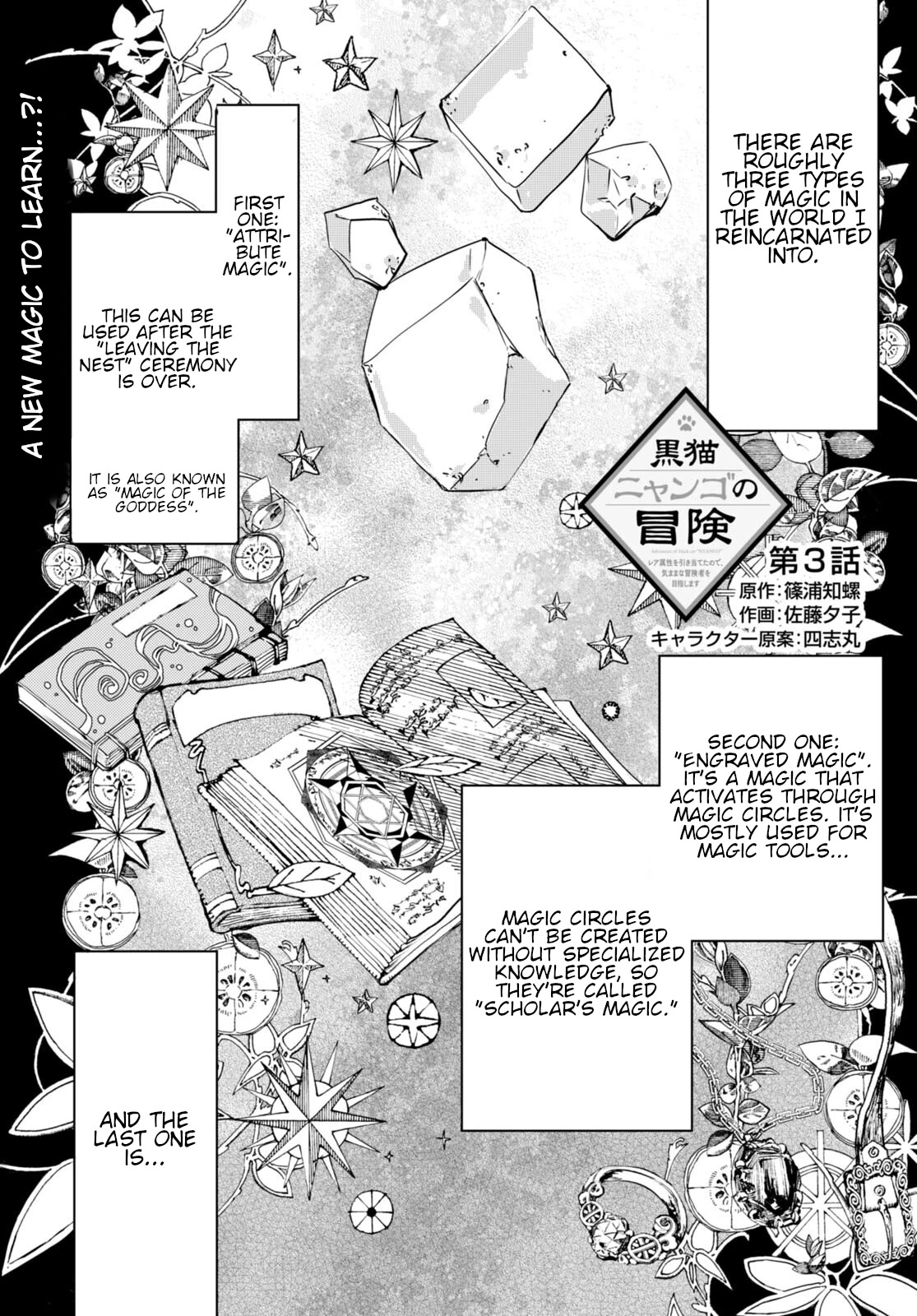 The Adventures of Black Cat "Nyango": Since I got a rare attribute, I aim to be a carefree adventurer Chapter 3 page 2 - Chapter 3