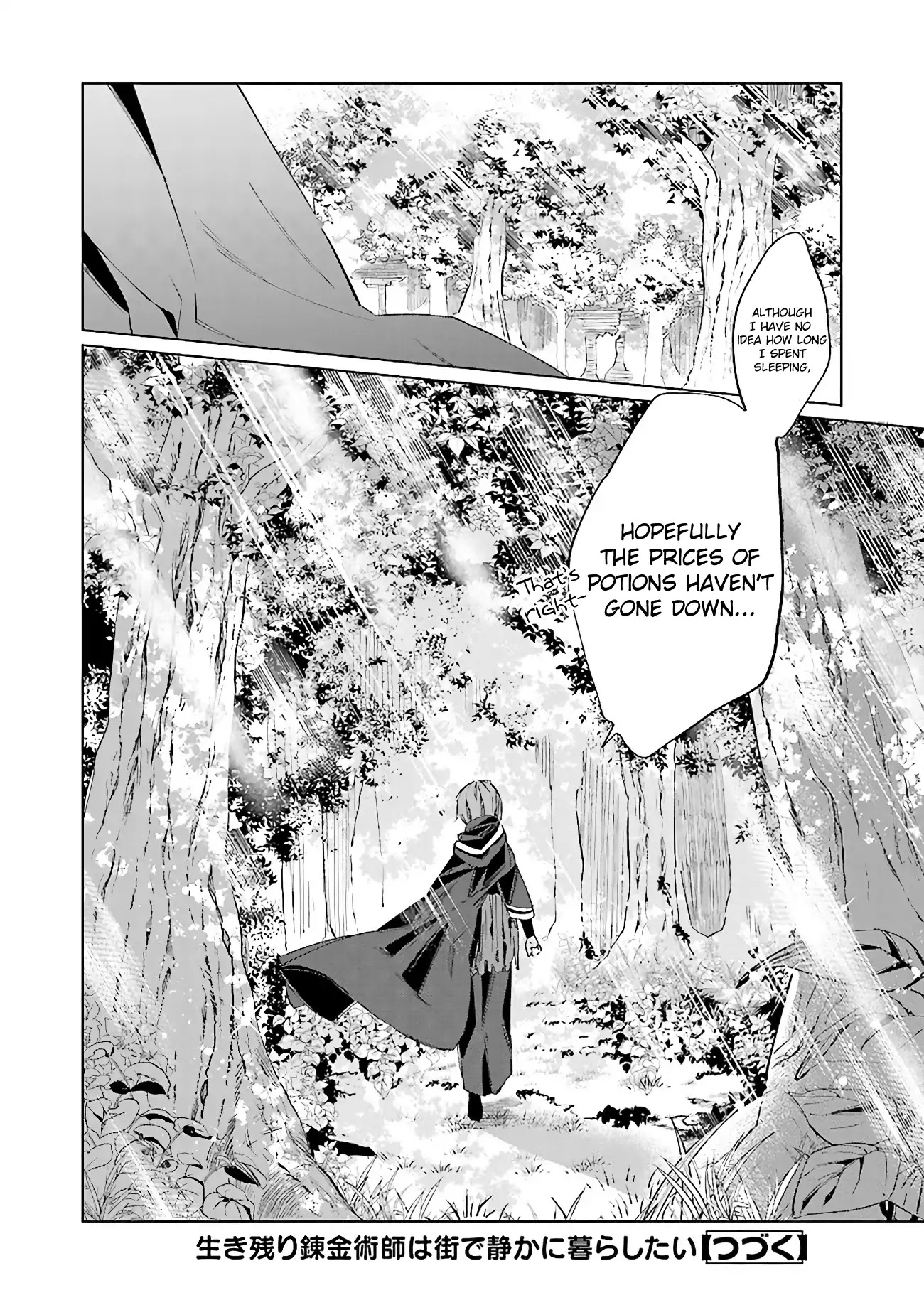The Alchemist Who Survived Now Dreams of a Quiet City Life Chapter 0 page 17 - Chapter 0: Prologue
