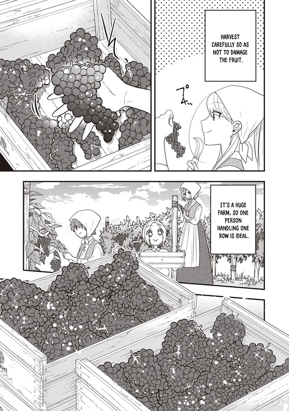The Banished Villainess! Living the Leisurely Life of a Nun Making Revolutionary Church Food Chapter 28 page 16 - Chapter 28: At The Grapeyard