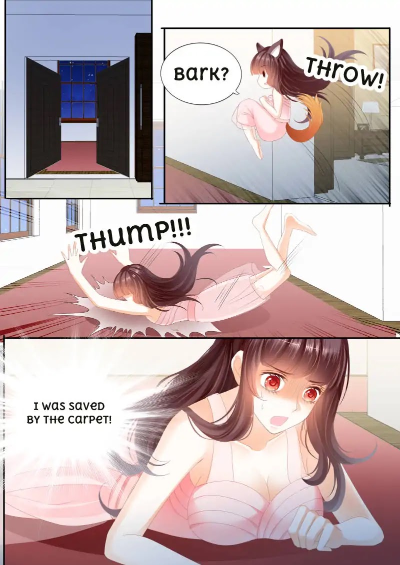 The Beautiful Wife of the Whirlwind Marriage Chapter 27 page 8 - Chapter 27