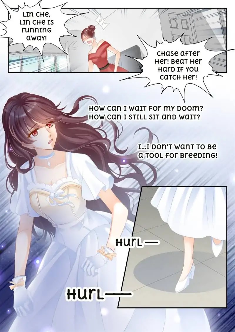 The Beautiful Wife of the Whirlwind Marriage Chapter 3 page 5 - Chapter 3