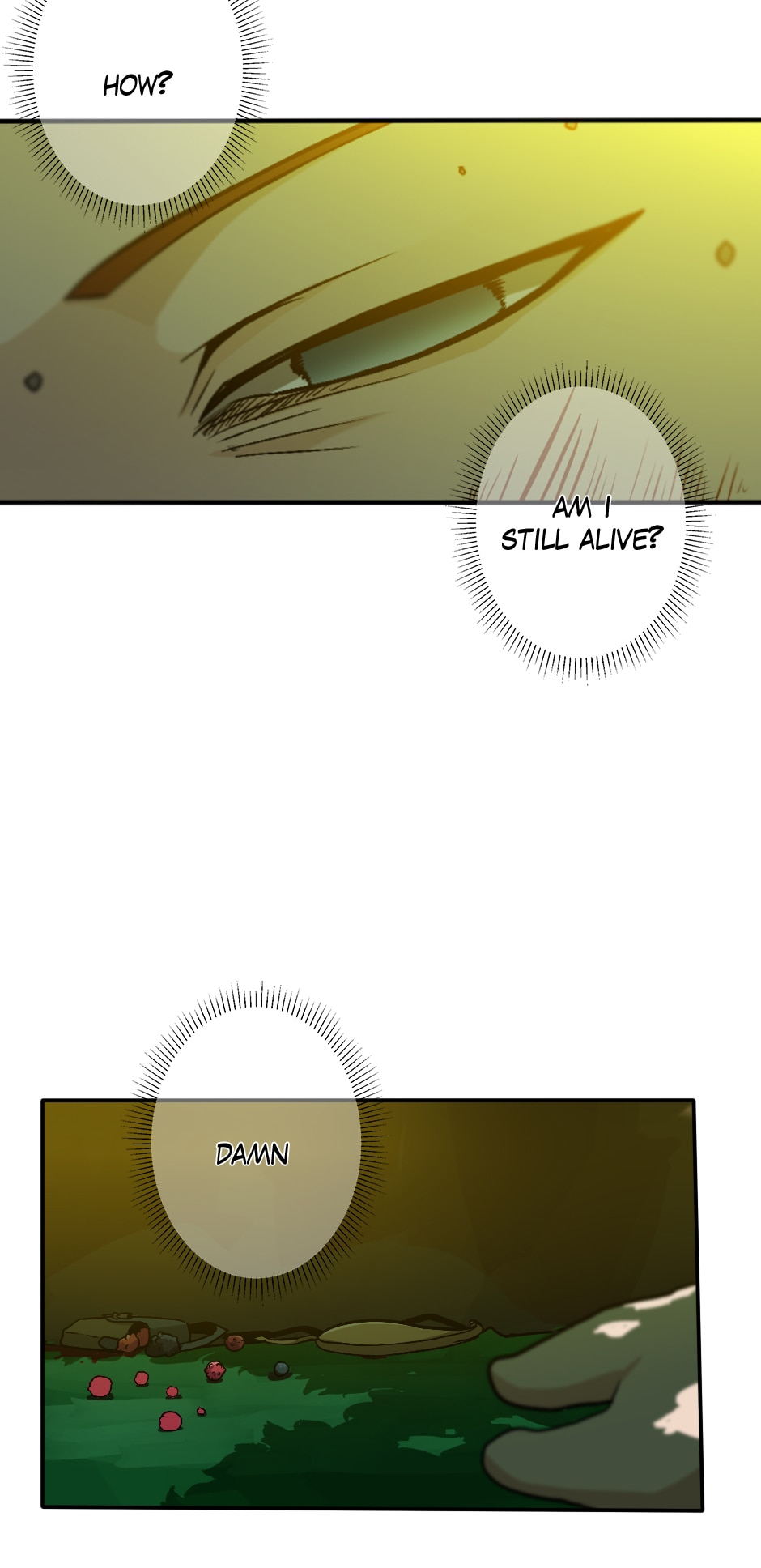The Beginning After the End Chapter 11 page 29 - Chapter 11