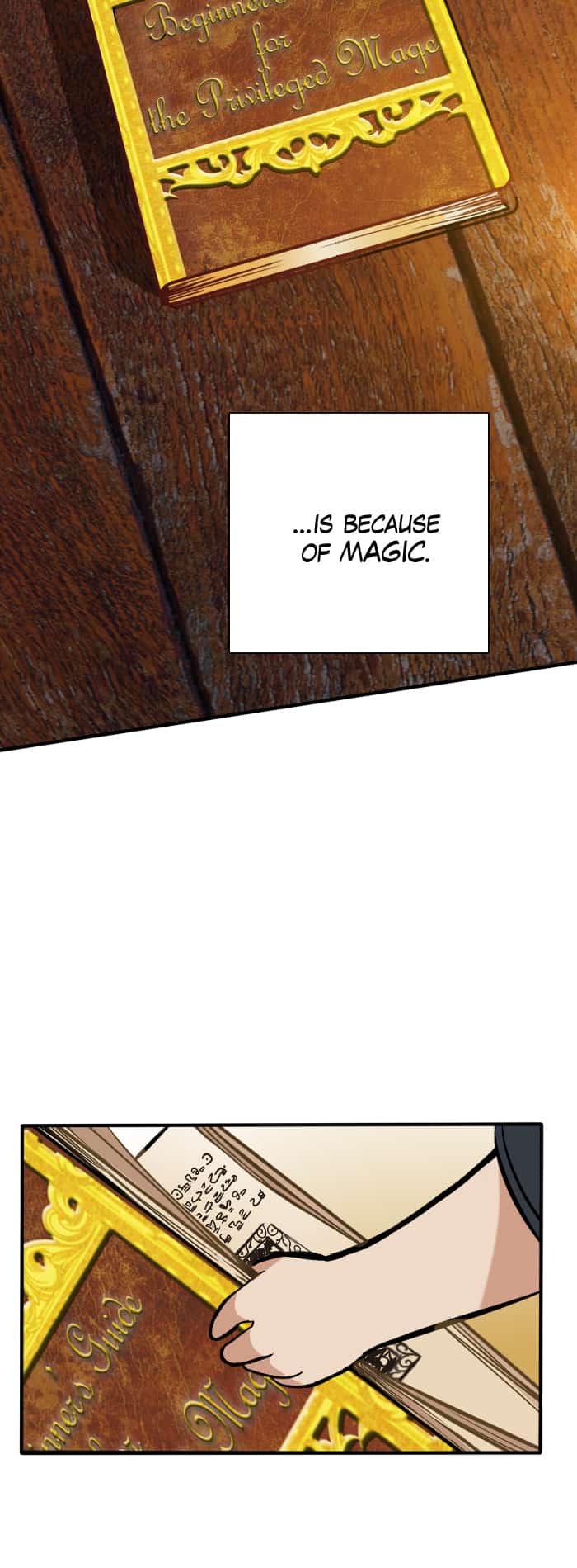 The Beginning After the End Chapter 2 page 35 - Chapter 2