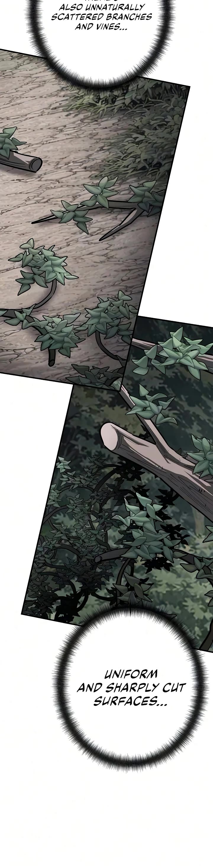 The Berserker's Second Playthrough Chapter 26 page 36 - Chapter 26