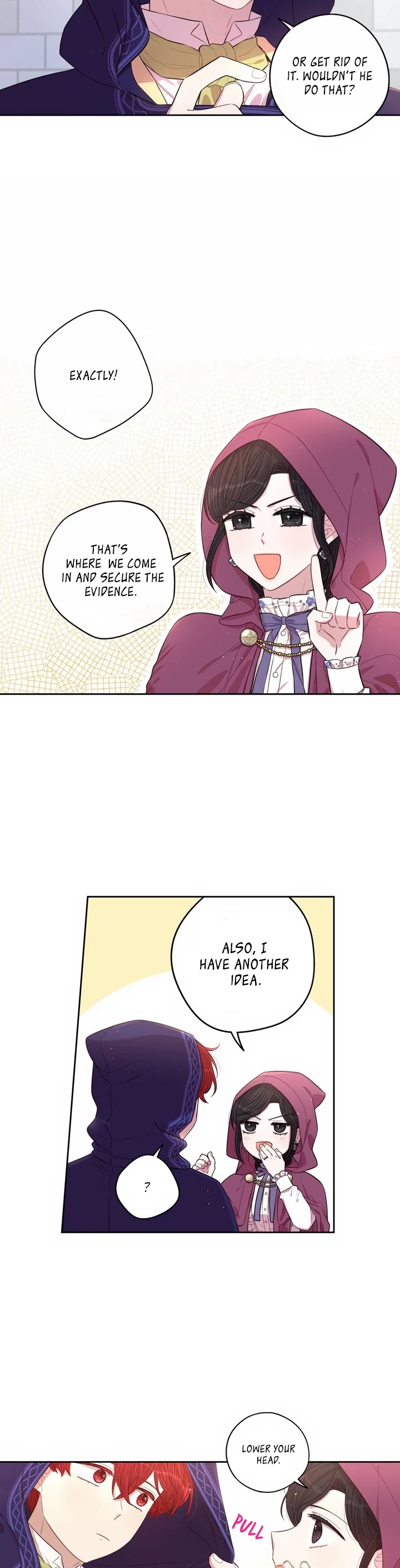The Black-Haired Princess Chapter 49 page 17 - Chapter 49
