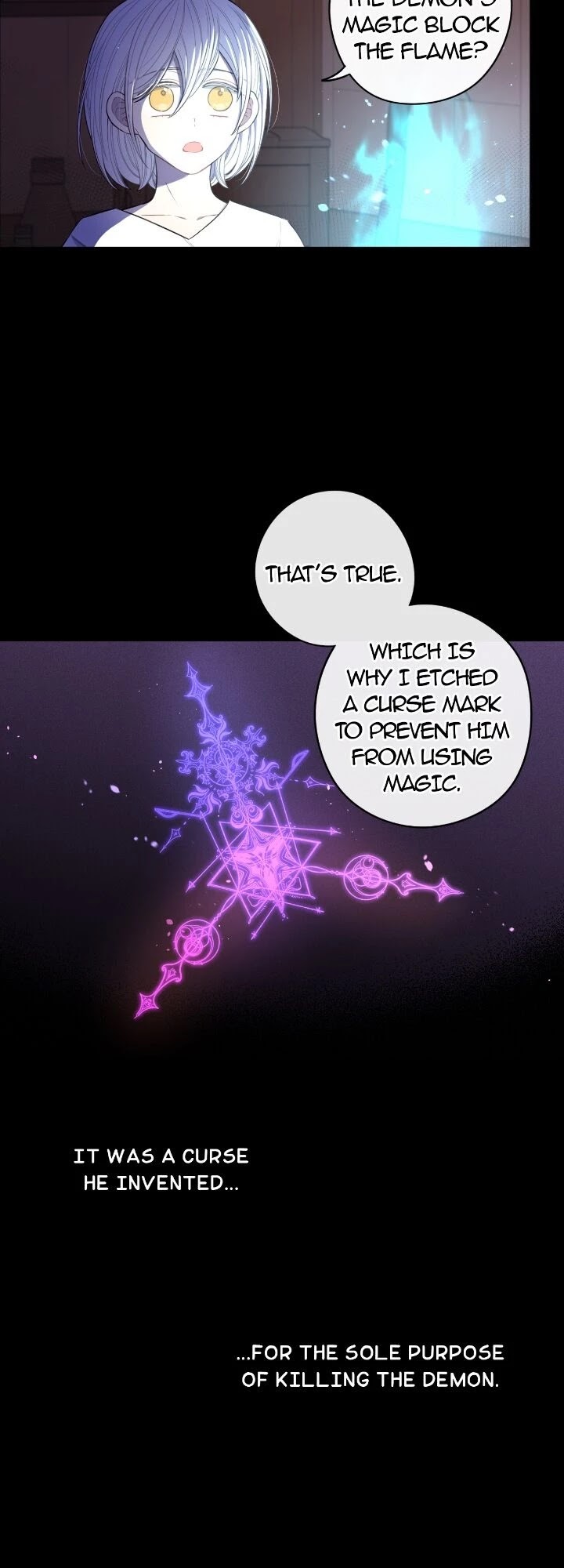 The Black-Haired Princess Chapter 56 page 14 - Chapter 56