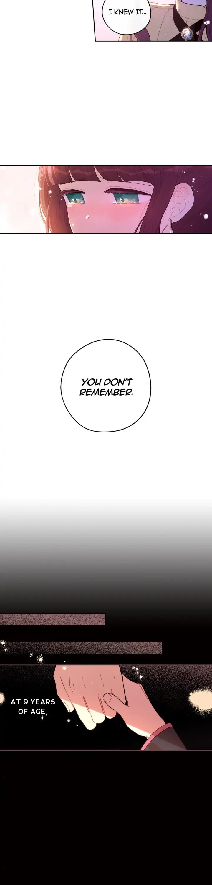 The Black-Haired Princess Chapter 70 page 26 - Chapter 70