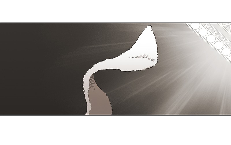 The Boxer Chapter 50 page 189 - Chapter 50: Ep. 50 - Gratitude