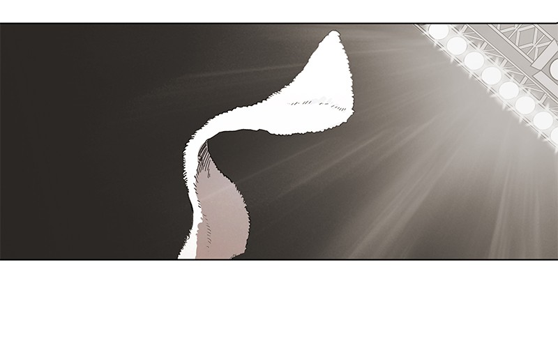 The Boxer Chapter 51 page 46 - Chapter 51: Ep. 51 - The Finish Line