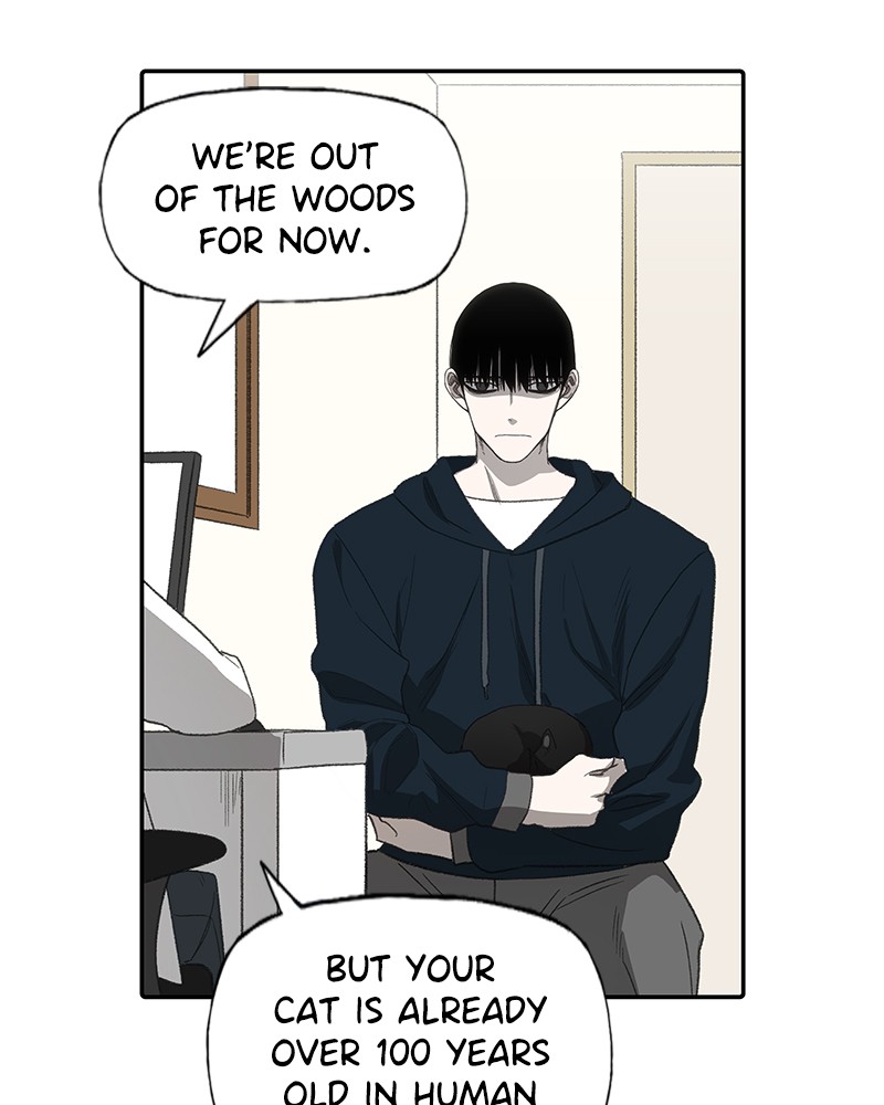 The Boxer Chapter 85 page 74 - Chapter 85: Ep. 80 - The Calm Before the Storm