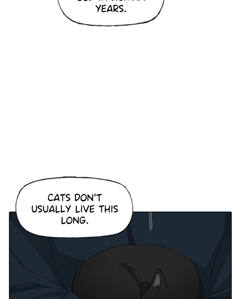 The Boxer Chapter 85 page 75 - Chapter 85: Ep. 80 - The Calm Before the Storm