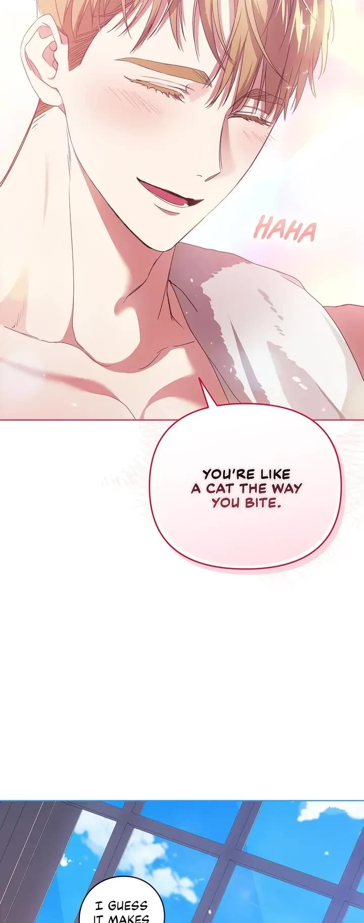 The Broken Ring: This Marriage Will Fail Anyway Chapter 27 page 35 - Chapter 27