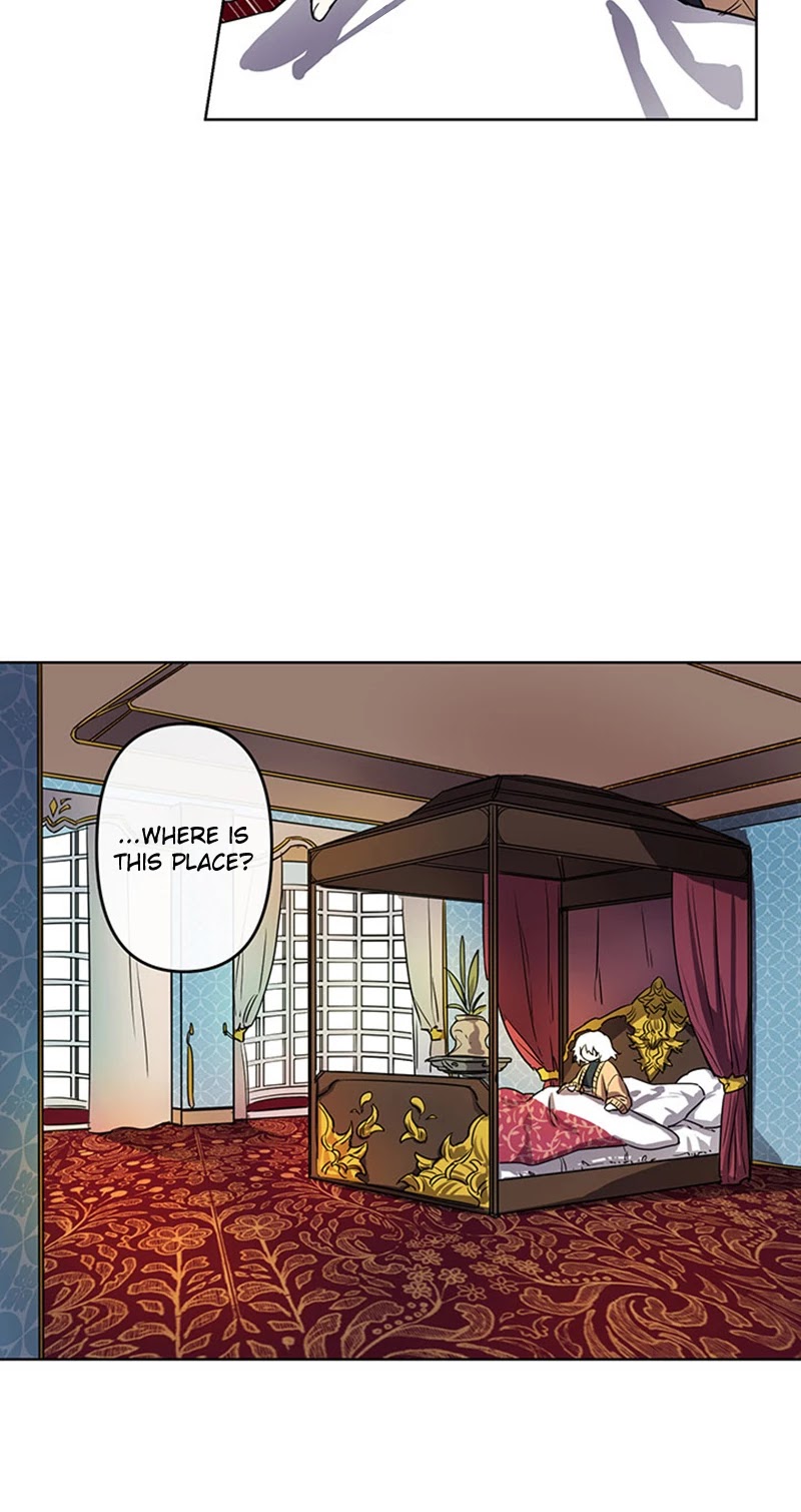 The Careful Empress Chapter 3 page 11 - Chapter 3