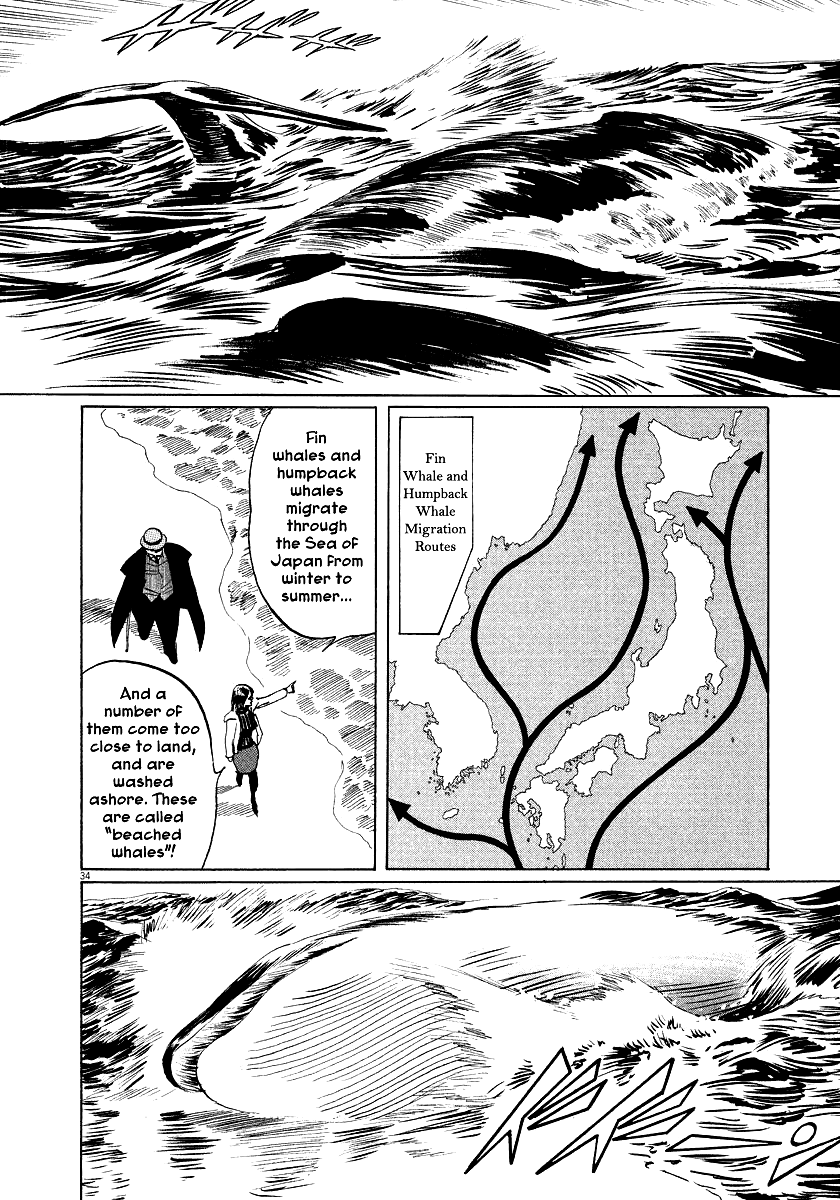 The Case Records of Professor Munakata Chapter 26 page 37 - Chapter 26: Whale God