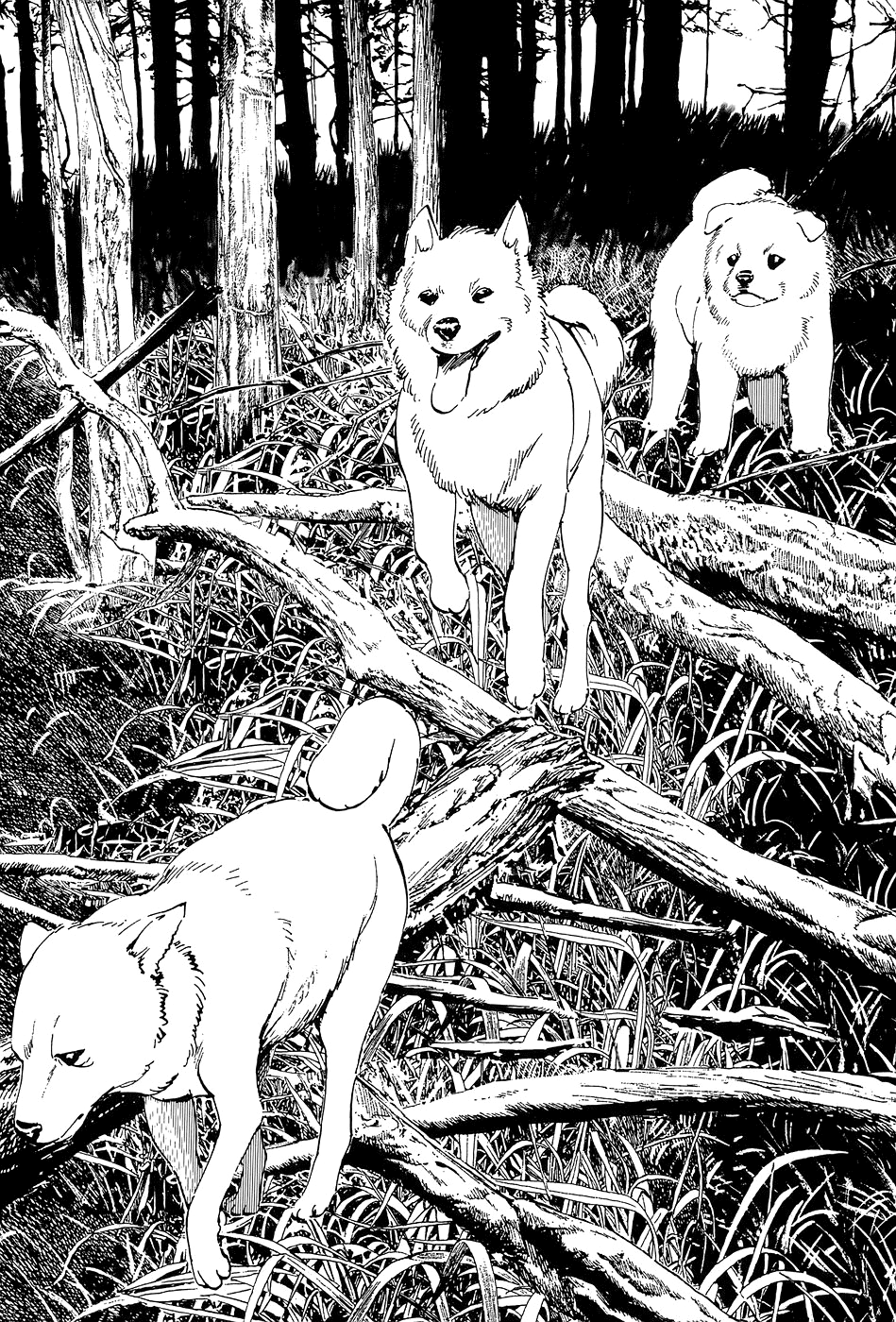 The Case Records of Professor Munakata Chapter 5 page 30 - Chapter 5: The Old Man Who Made Trees Blossom's Dog