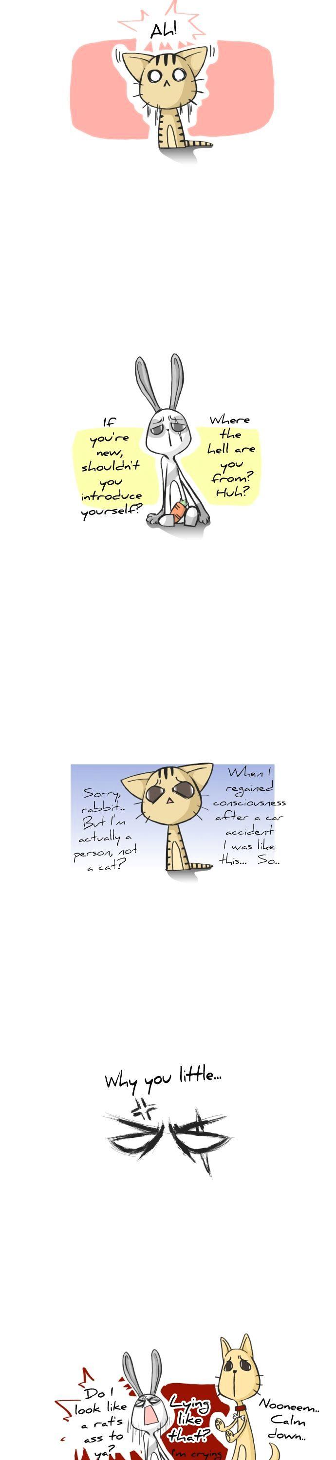 The Cat Lives Chapter 4 page 3 - Chapter 4 : Welcome to Jungle